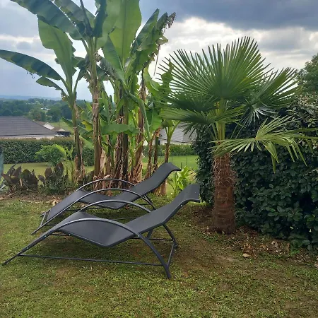 Carlotti Bed & Breakfast Buros